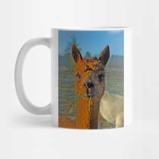 Alpaca Mug